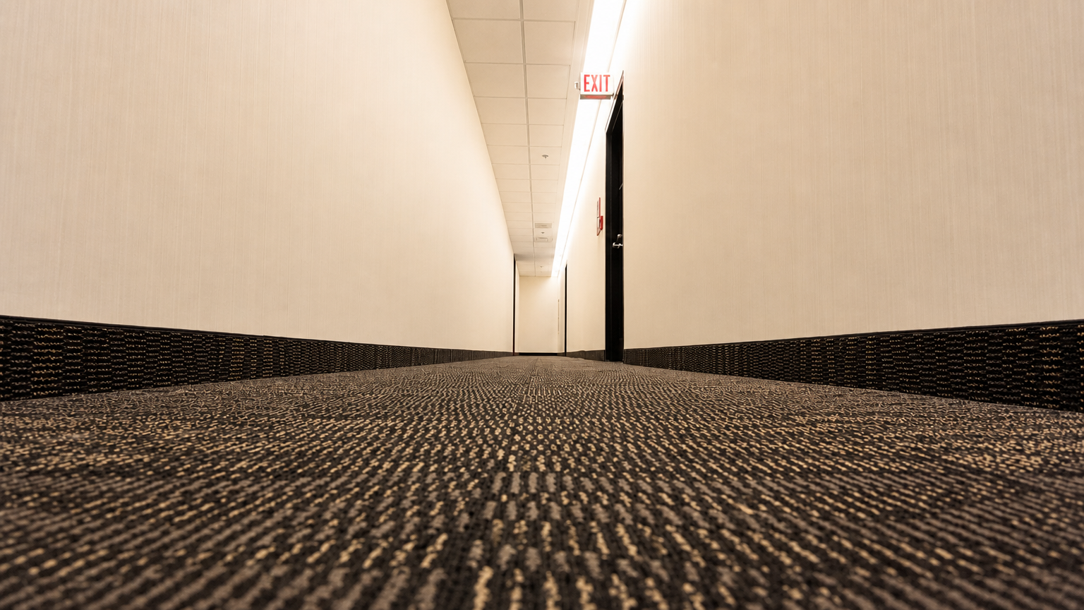 Broadloom and Wallcovering: What the Photo Shows